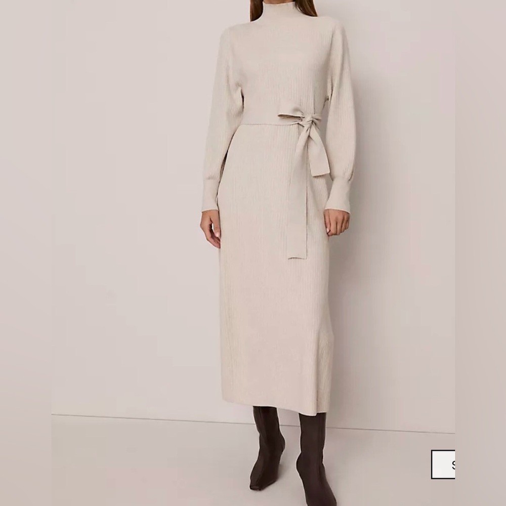 Ribbed Turtleneck Sweater Dress
